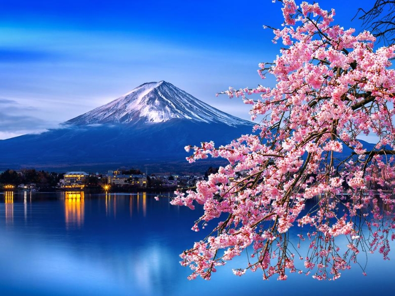 Wonders of Japan